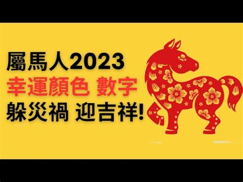 屬馬幸運數字2023|2024年屬馬人必知幸運數字